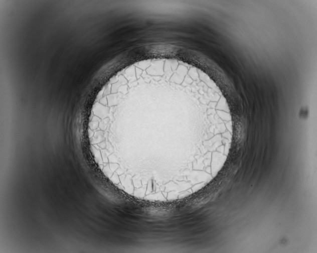 X0000103430733200810241058