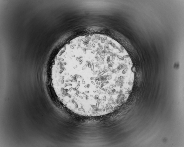X0000103430734200810241058