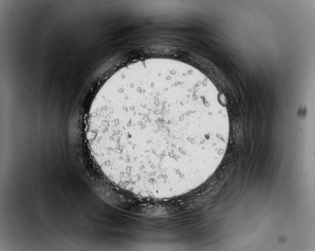X0000103430735200810241058