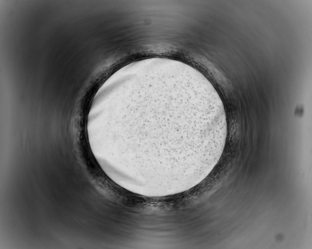 X0000103430736200810241058