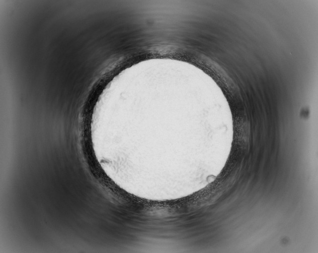 X0000103430738200810241058
