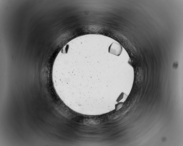 X0000103430739200810241058
