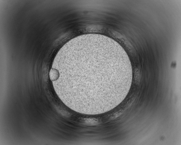 X0000103430741200810241058
