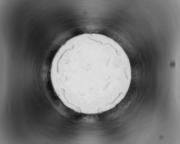 X0000103430742200810241058