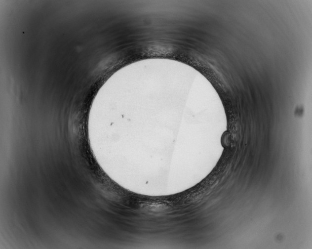 X0000103430743200810241058