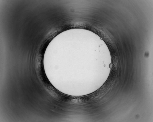 X0000103430744200810241058