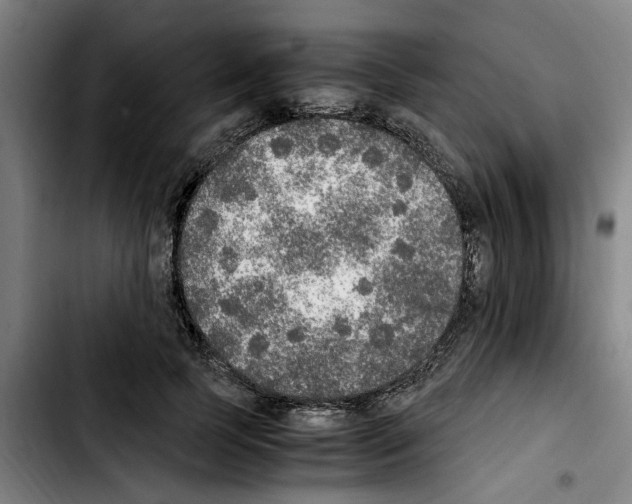 X0000103430745200810241058