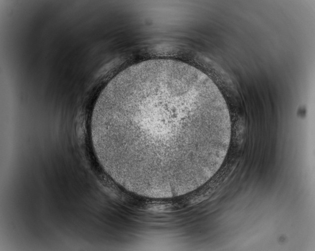 X0000103430746200810241058