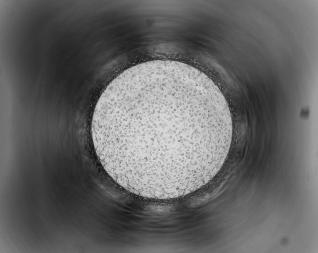 X0000103430749200810241058