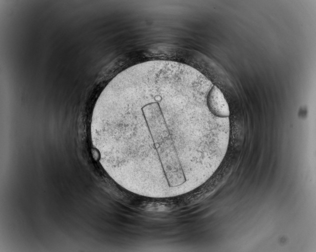 X0000103430751200810241058