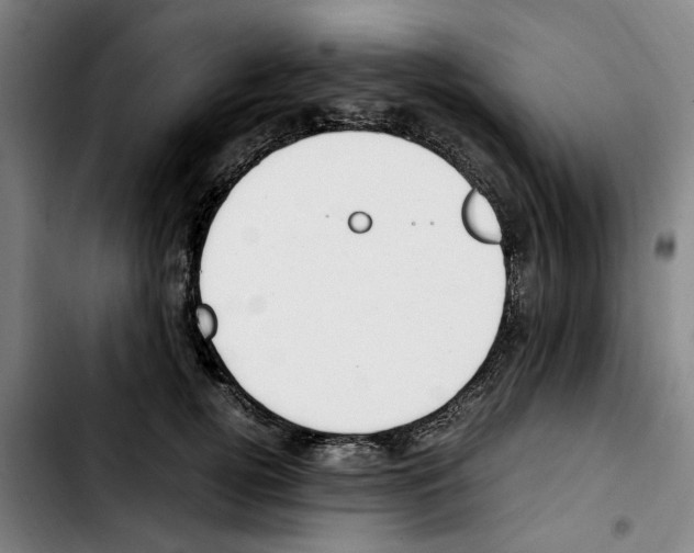 X0000103430752200810241058