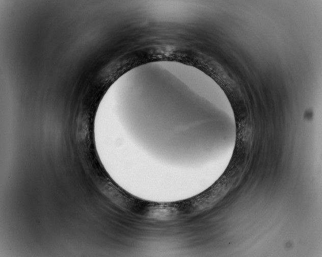 X0000103430754200810241058