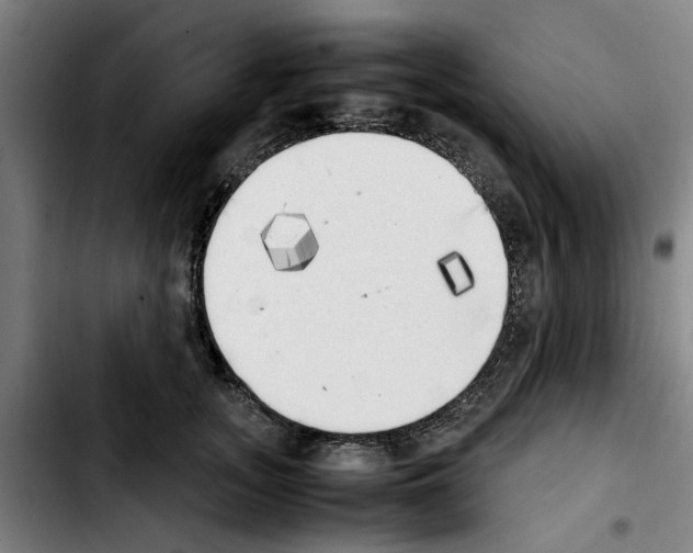 X0000103430755200810241058