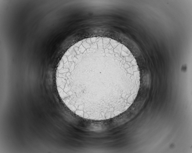 X0000103430757200810241058
