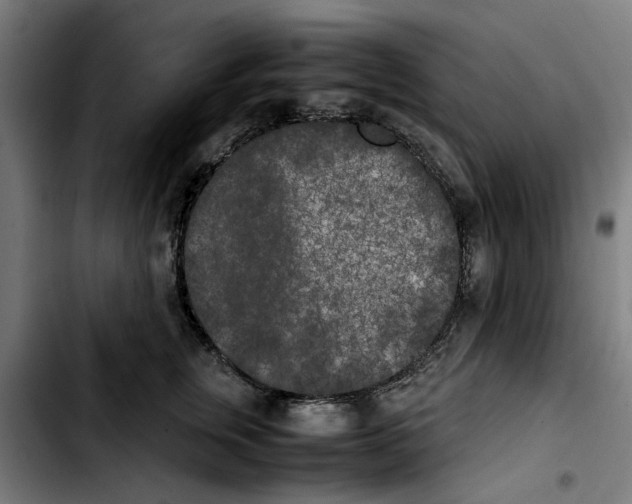X0000103430759200810241058