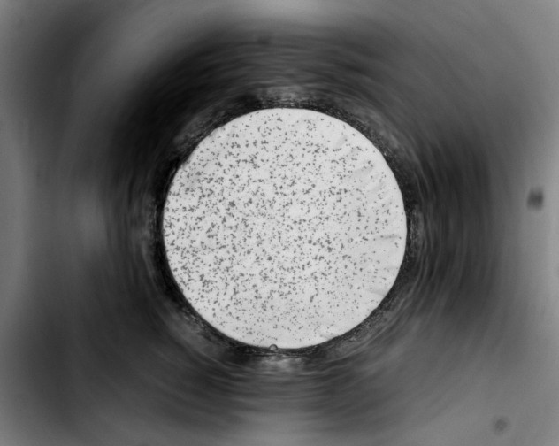 X0000103430760200810241058