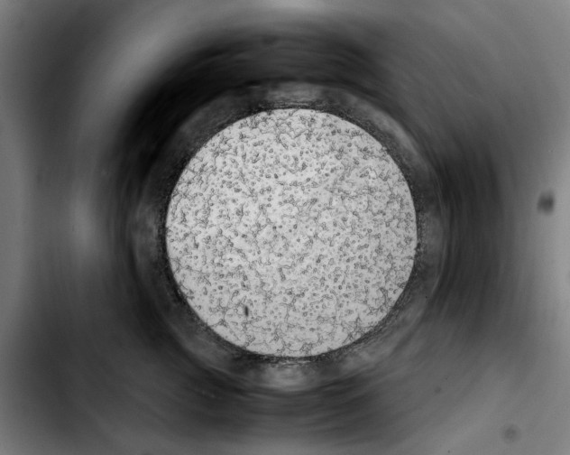 X0000103430761200810241058