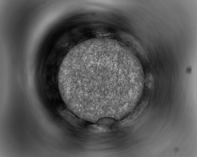 X0000103430763200810241058