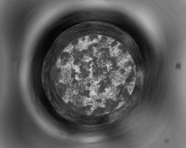 X0000103430765200810241058