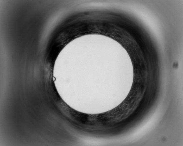 X0000103430766200810241058