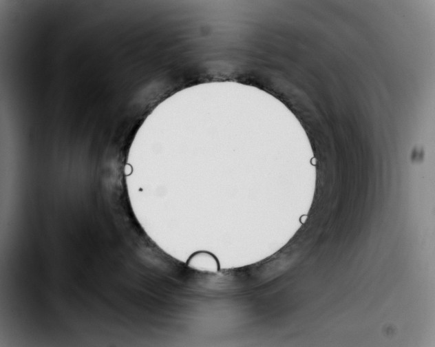 X0000103430768200810241058