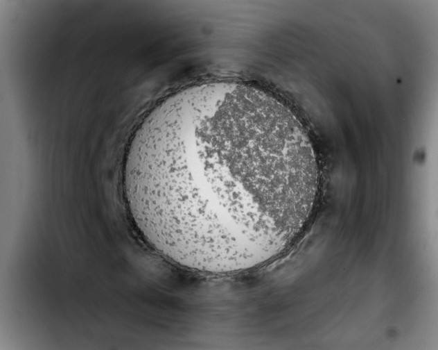 X0000103430769200810241057