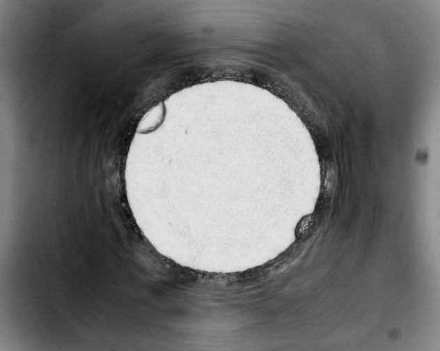 X0000103430771200810241057