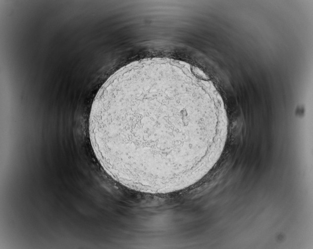 X0000103430772200810241057