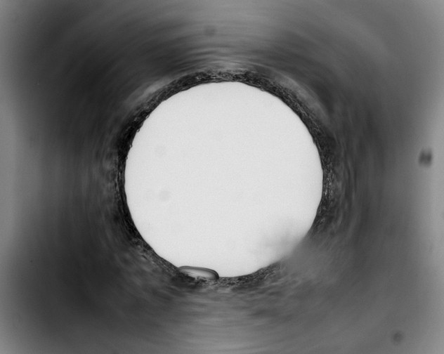 X0000103430773200810241057