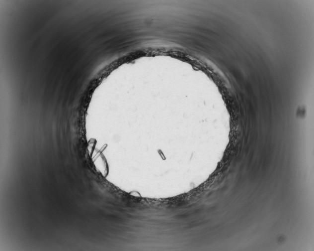 X0000103430775200810241057