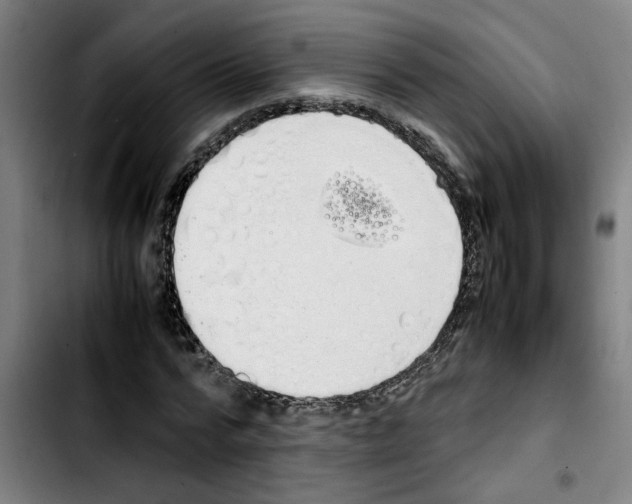X0000103430776200810241057