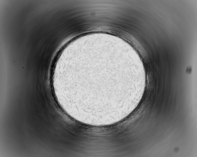 X0000103430780200810241057