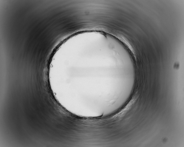 X0000103430781200810241057