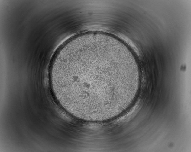 X0000103430782200810241057