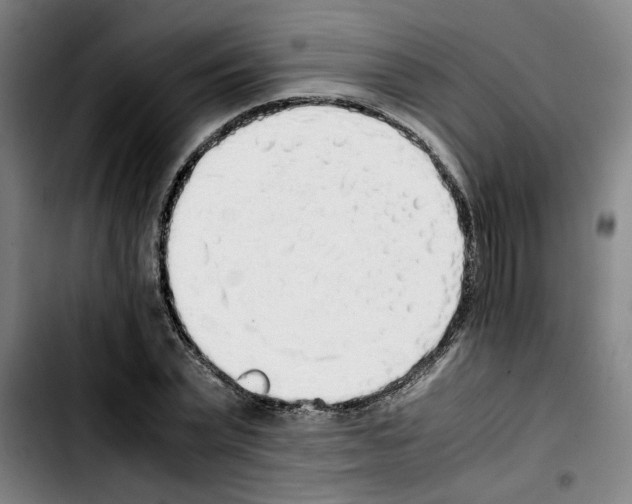 X0000103430783200810241057