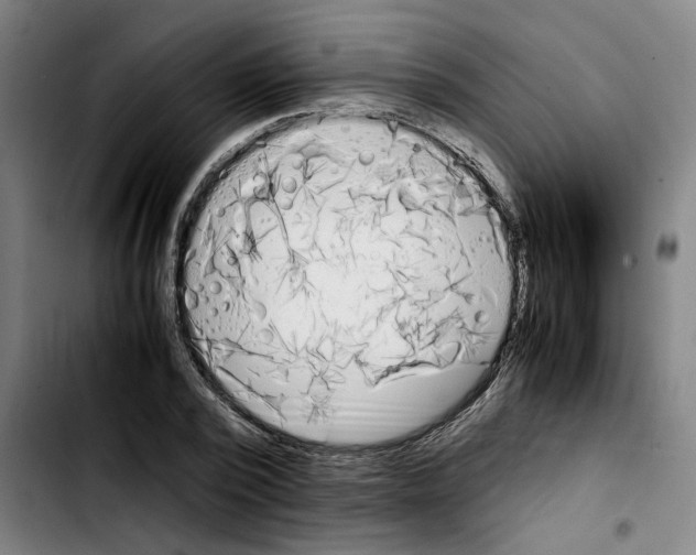X0000103430784200810241057