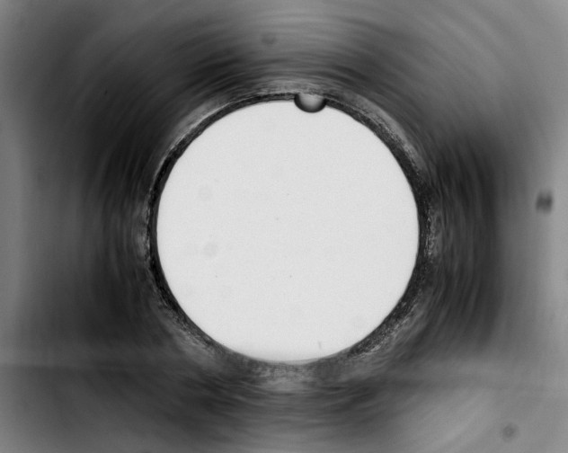 X0000103430786200810241057