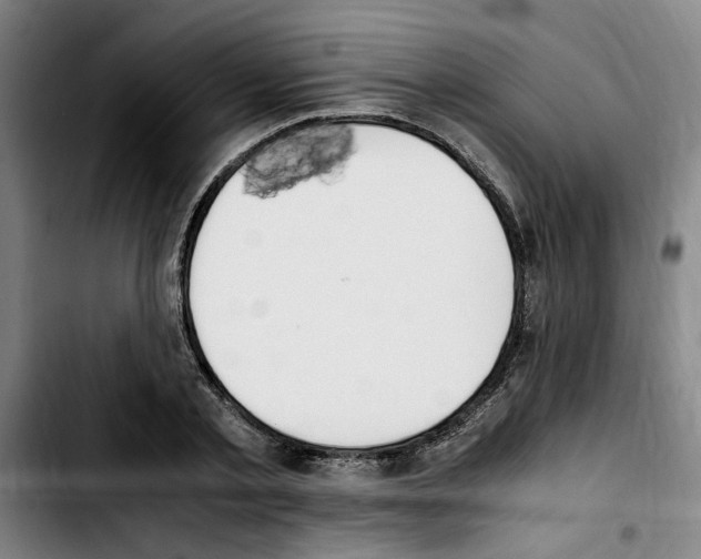 X0000103430789200810241057