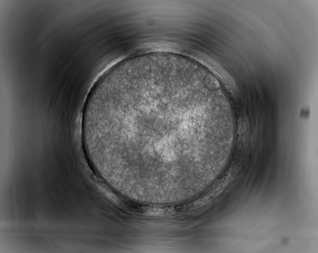 X0000103430790200810241057