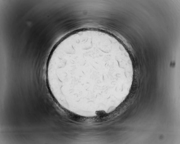 X0000103430791200810241057