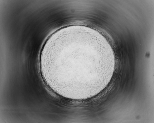 X0000103430792200810241057