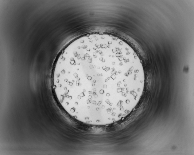 X0000103430794200810241057