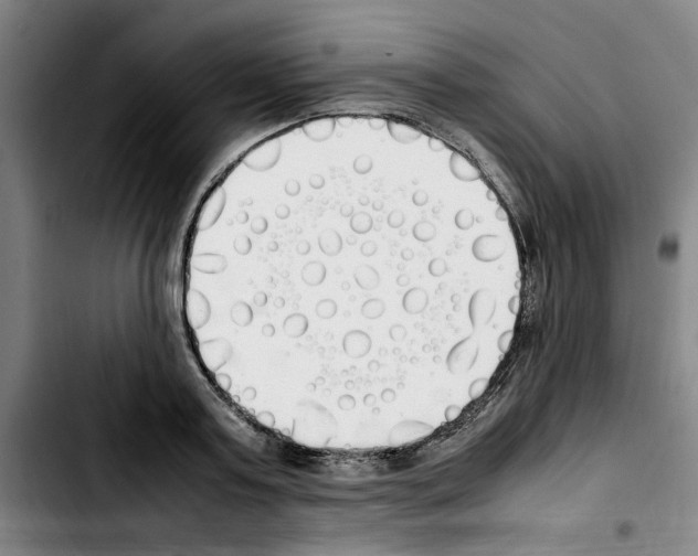 X0000103430795200810241057