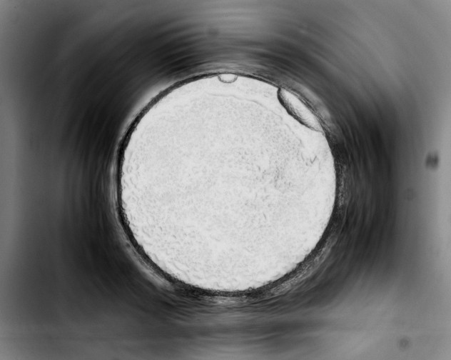 X0000103430796200810241057