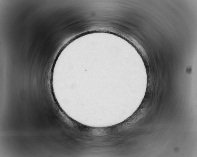 X0000103430799200810241057