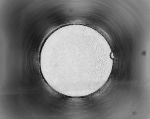 X0000103430800200810241057