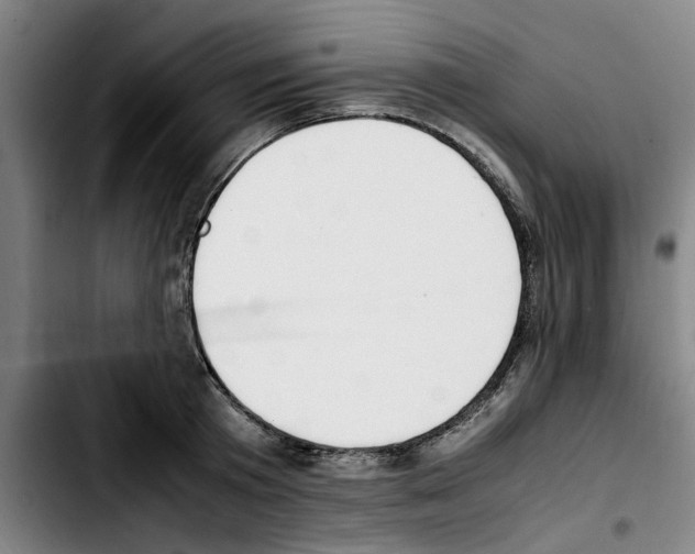 X0000103430801200810241057