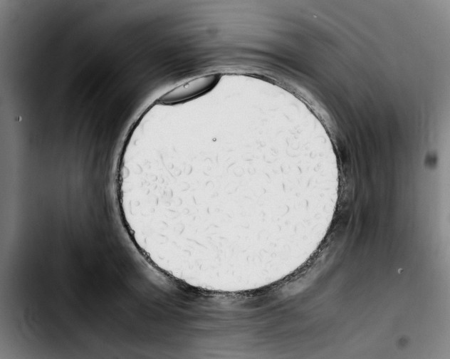 X0000103430803200810241057