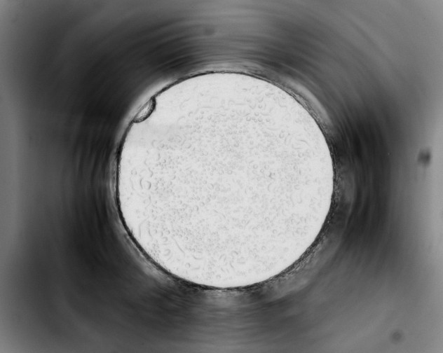 X0000103430804200810241057