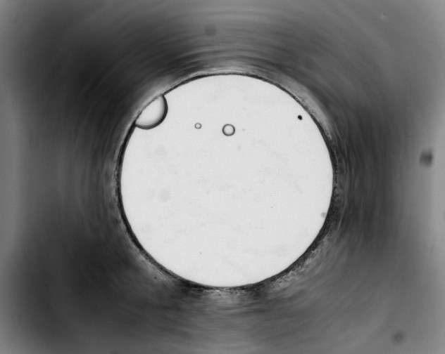 X0000103430805200810241057